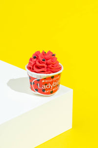 Ladybird Bath Melt